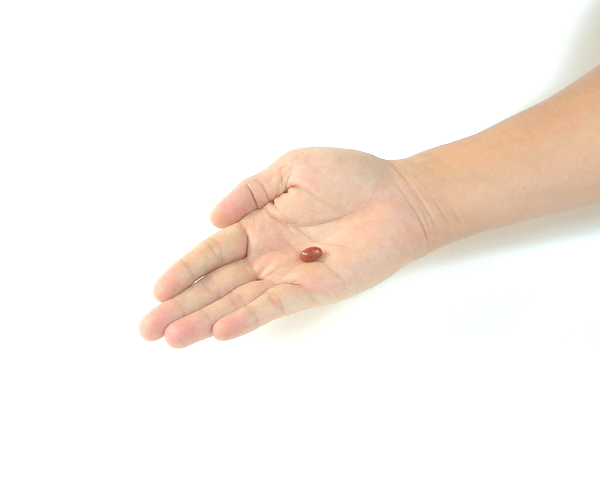 ���j�[���e�C���[�A