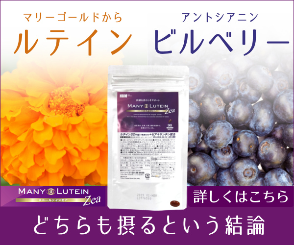 ���j�[���e�C���[�A�\��