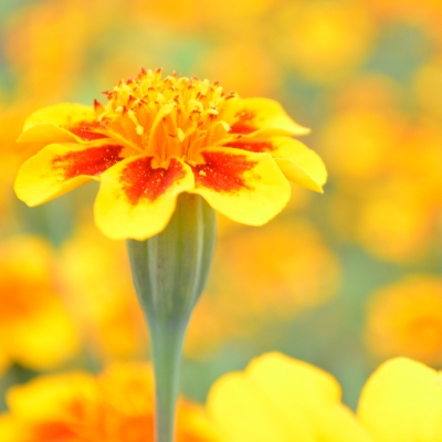 ���e�C��1