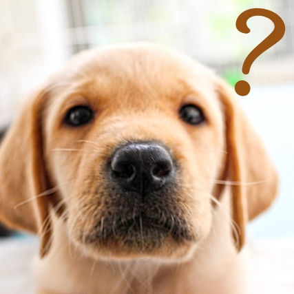 ���e�C��