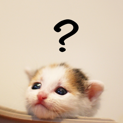 ���e�C��